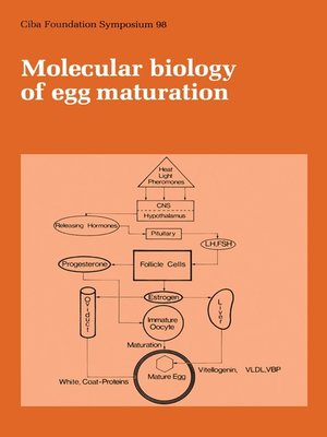 cover image of Molecular Biology of Egg Maturation